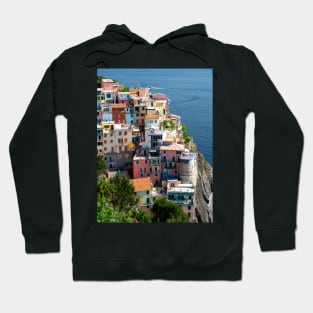 View on the cliff town of Manarola, one of the colorful Cinque Terre on the Italian west coast Hoodie